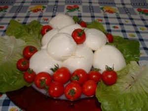 mozzarella di bufala