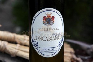 conca-bianco-poderi-foglia-dettaglio